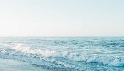 【即日対応】花付き弔電＋マナー完全ガイド